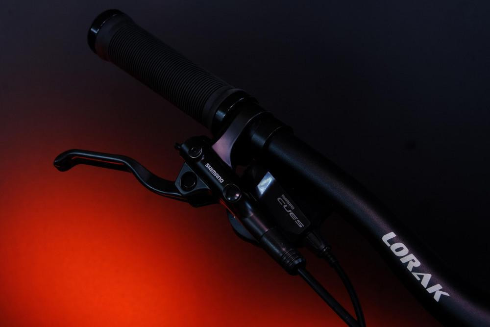 LORAK Sel 9750 SE Матовый Коричневый 21р (на рост 183-190)