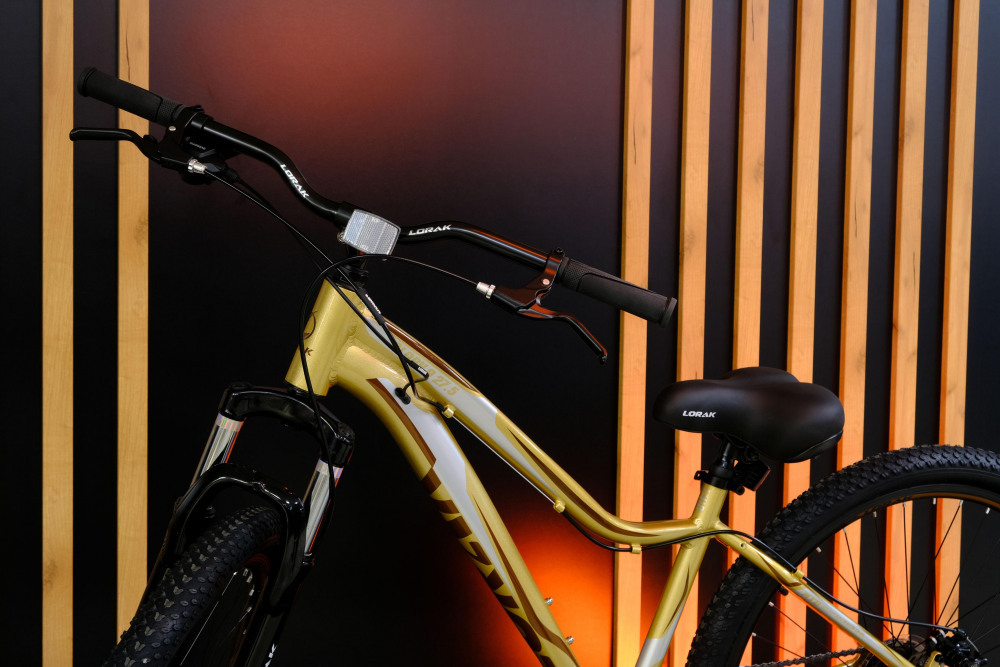 LORAK GLORY 9 Золотисто Серый рама 15 (на рост 141-160)